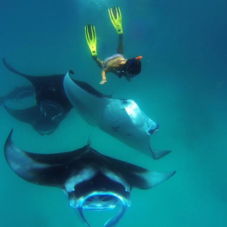 ฮานิฟารู ทรานสิต อินน์ ดาราวานดูห์ ภายนอก รูปภาพ